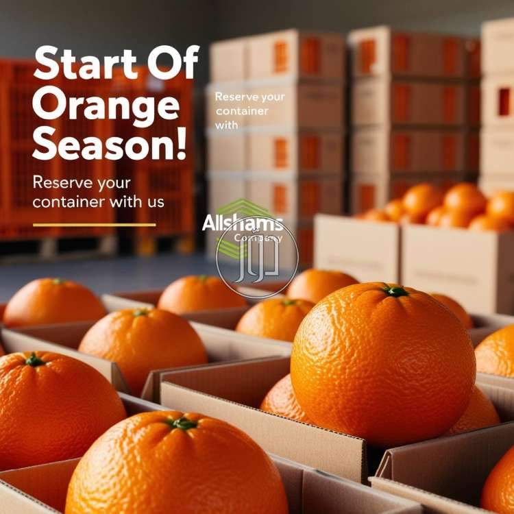 صور محاصيل وبذور زراعية في الكويت - دوّر.كوم