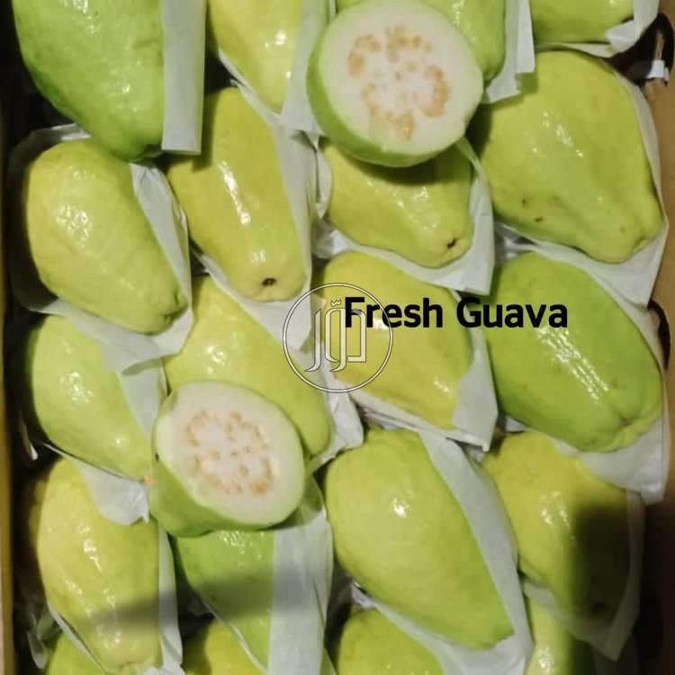 صور محاصيل وبذور زراعية في الكويت - دوّر.كوم