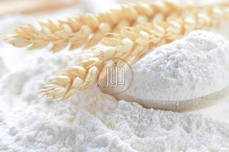 صور محاصيل وبذور زراعية في مصر - دوّر.كوم