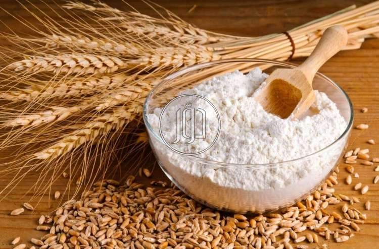 صور محاصيل وبذور زراعية في مصر - دوّر.كوم