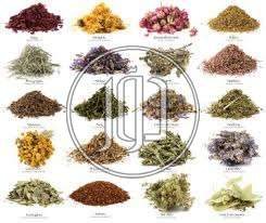 صور محاصيل وبذور زراعية في الجيزة - دوّر.كوم