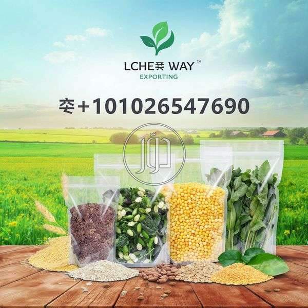 صور محاصيل وبذور زراعية في مصر - دوّر.كوم