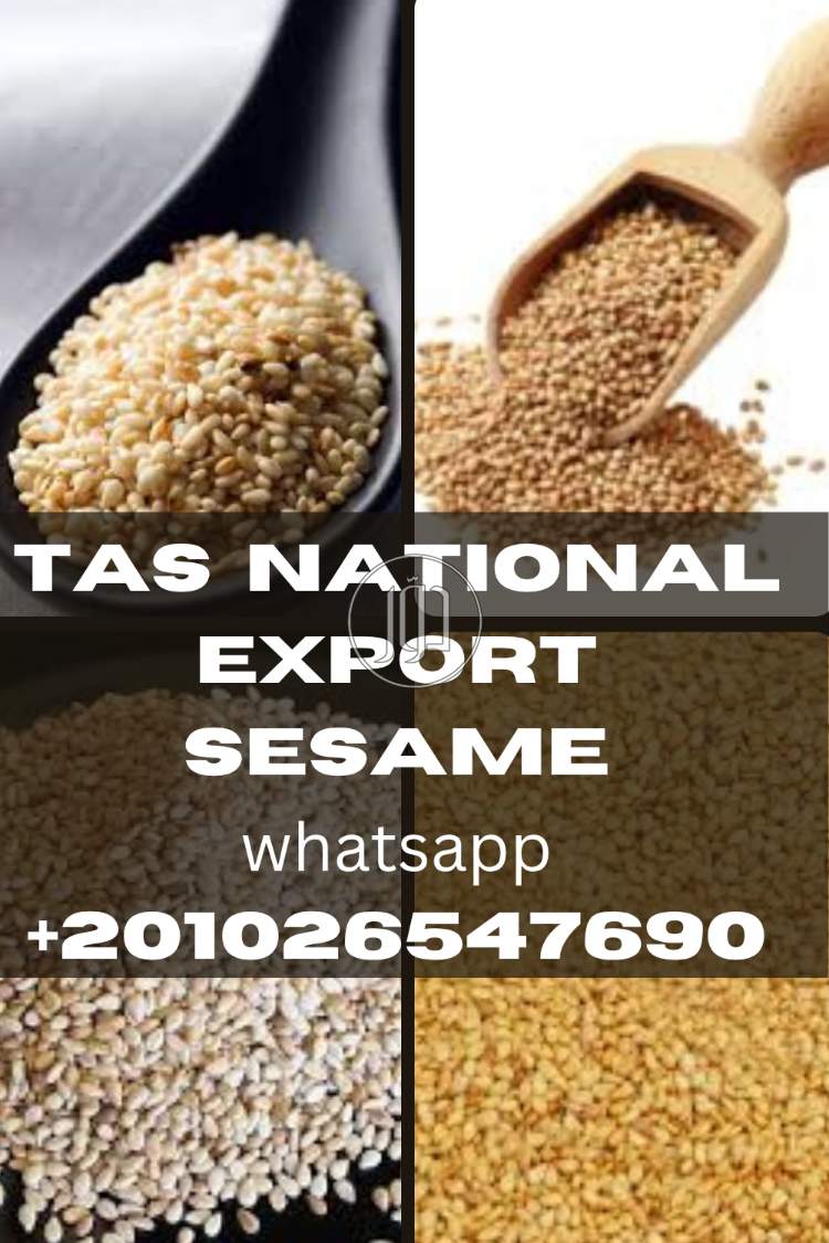 صور محاصيل وبذور زراعية في الجيزة - دوّر.كوم