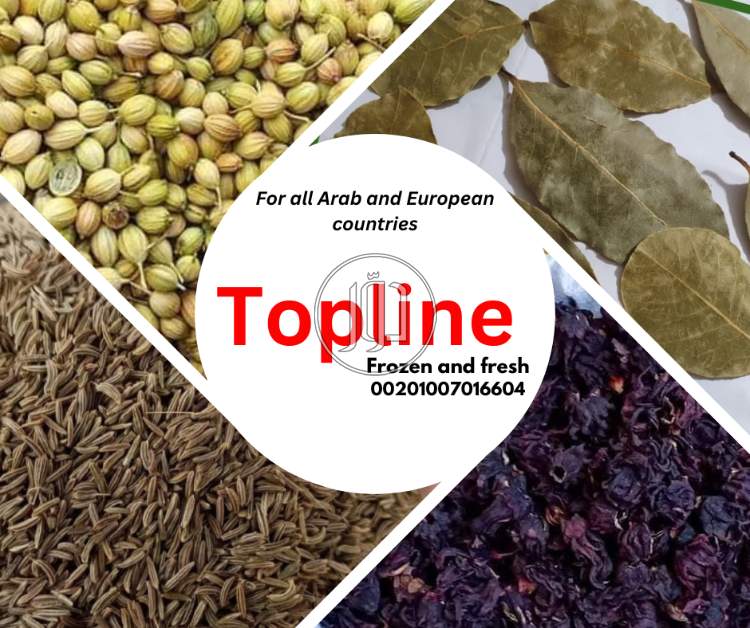 صور محاصيل وبذور زراعية في القاهرة - دوّر.كوم