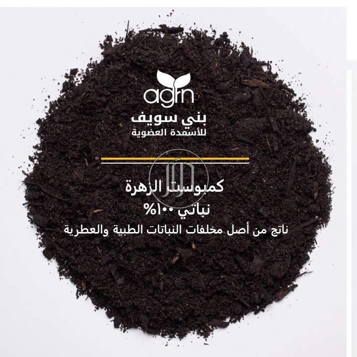 صور محاصيل وبذور زراعية في مصر - دوّر.كوم