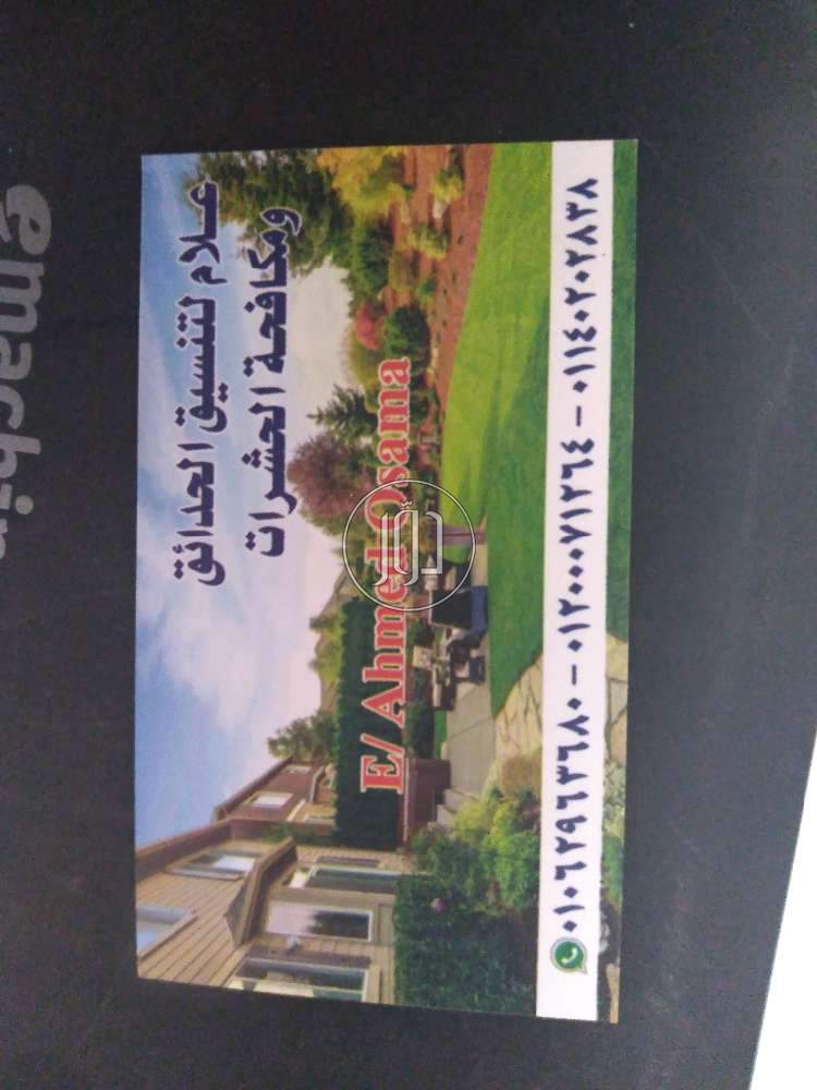 محاصيل زراعية في مصر - دوّر.كوم