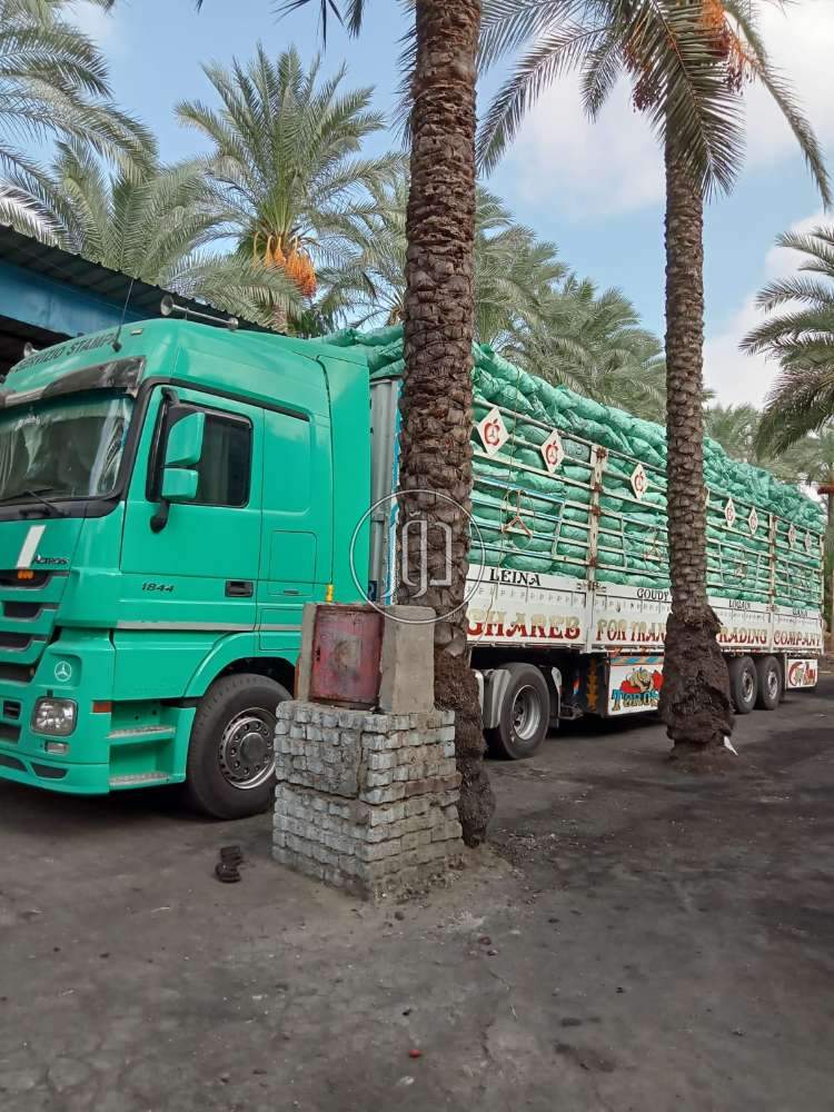 صور مستلزمات اخرى للبيع في الامارات - دوّر.كوم