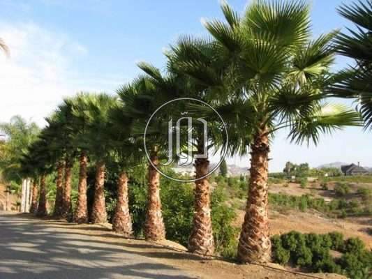 صور مستلزمات اخرى للبيع في الرياض - دوّر.كوم