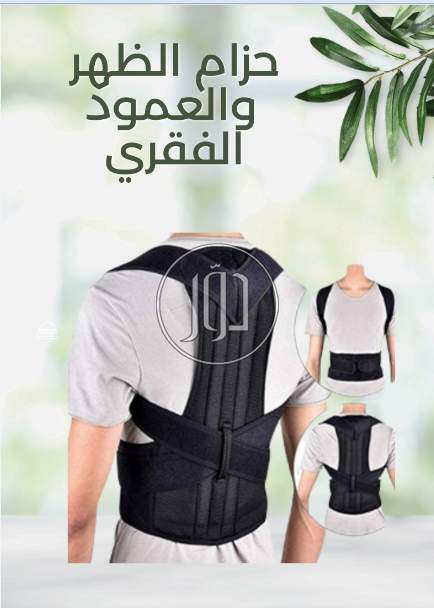 حزام الظهر والعمود الفقري الطبي رويال بوستر