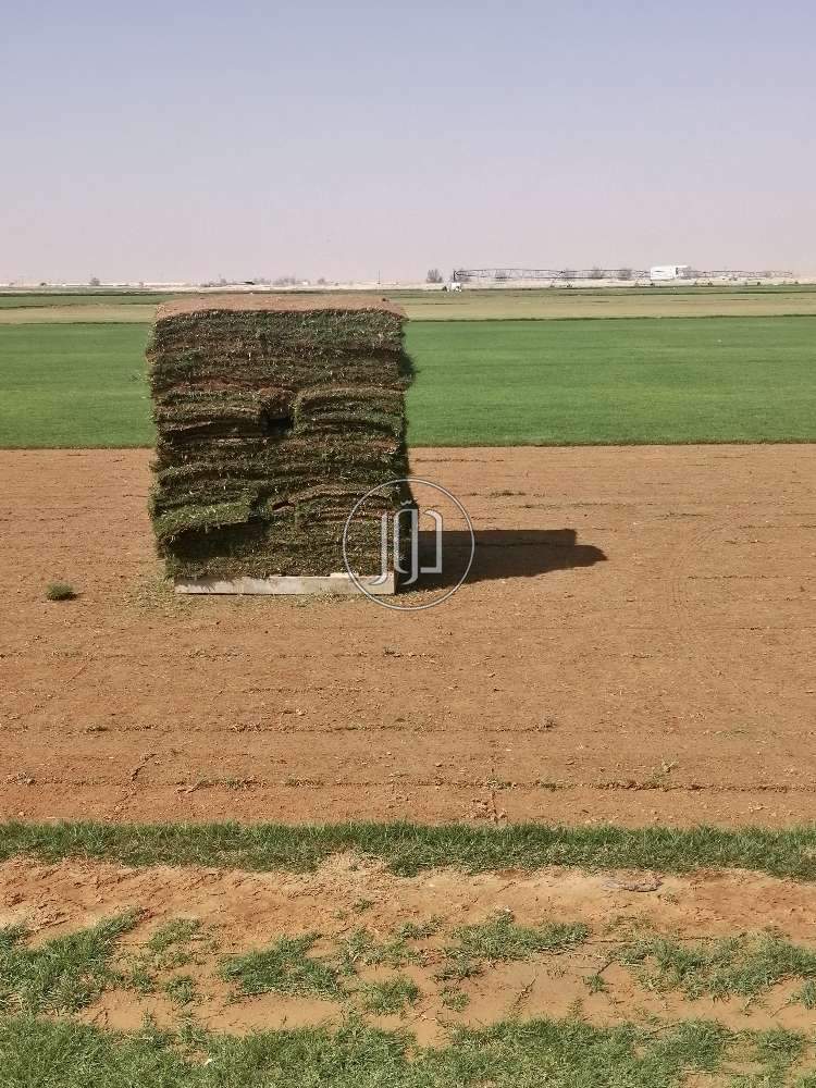 صور مستلزمات ديكور للبيع في السعودية - دوّر.كوم