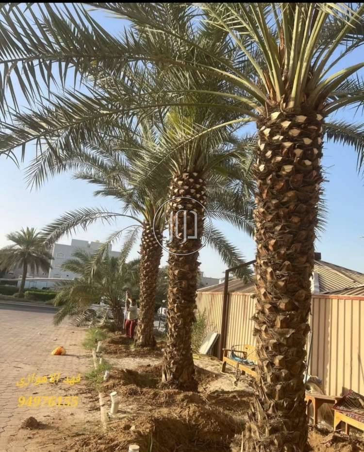 صور معدات زراعية للبيع في الكويت - دوّر.كوم