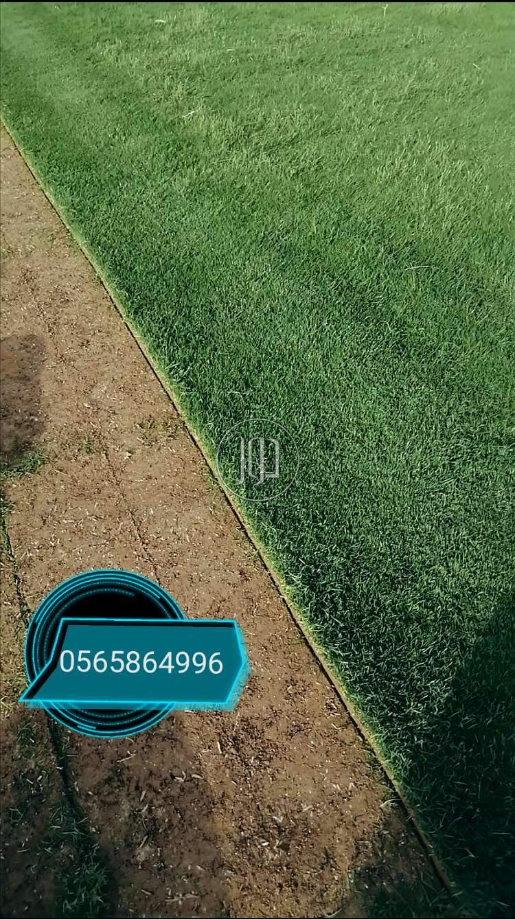 صور مفروشات وسجاد للبيع في السعودية - دوّر.كوم