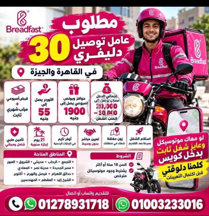 وظائف اخرى في مصر - دوّر.كوم