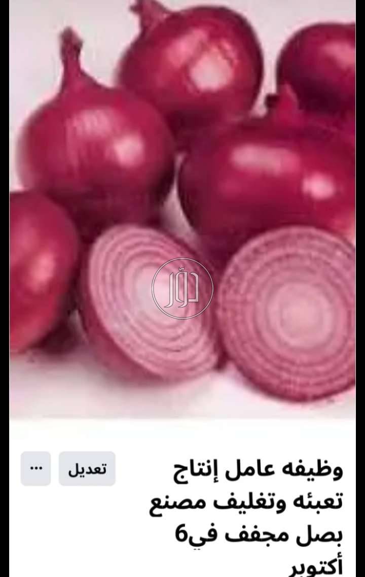 صور وظائف اخرى في القليوبية - دوّر.كوم