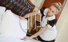 صور وظائف اخرى في الإسكندرية - دوّر.كوم