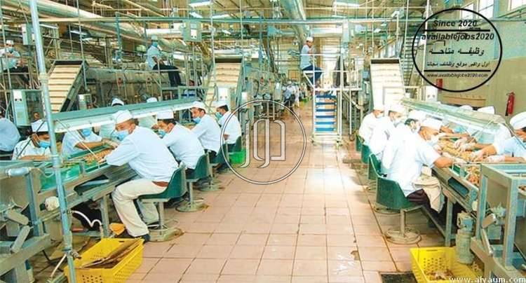 صور وظائف اخرى في الجيزة - دوّر.كوم