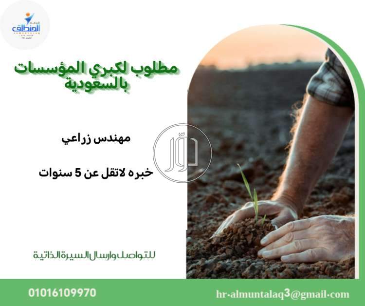 صور وظائف اخرى في مصر - دوّر.كوم