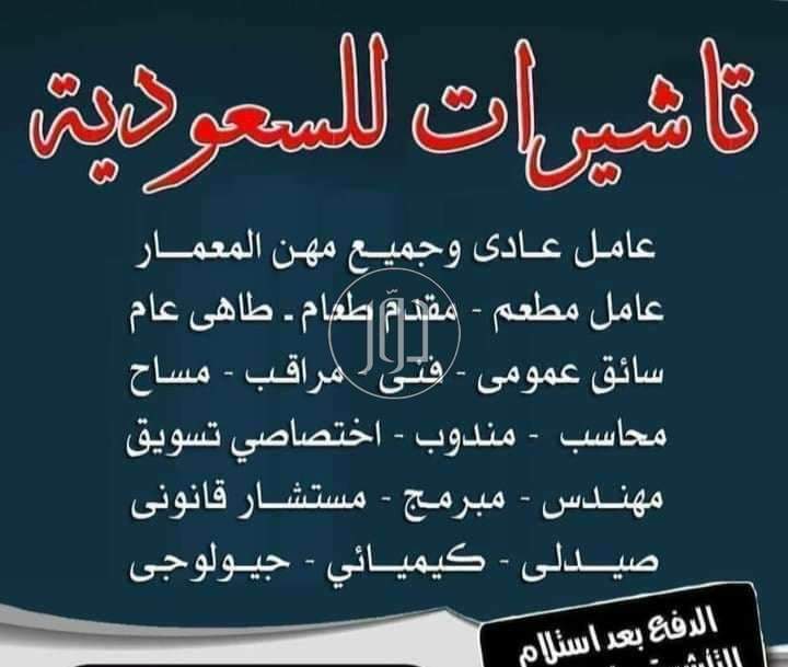 تاشيرات حره - وظائف اخرى في القاهرة