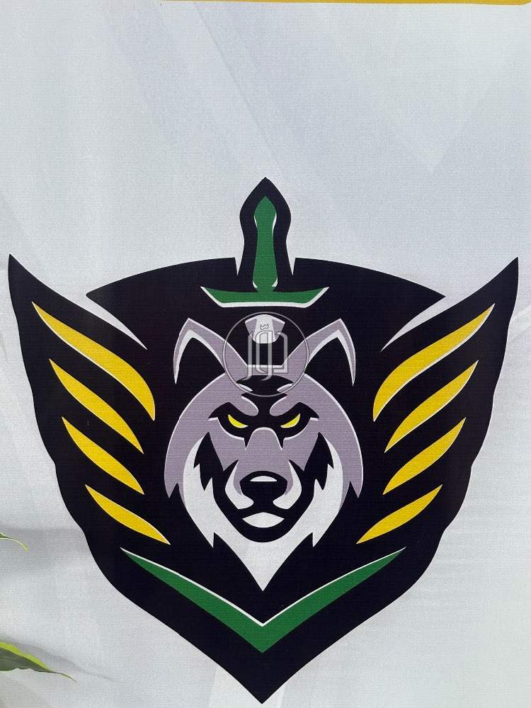 صور وظائف اخرى في القاهرة - دوّر.كوم