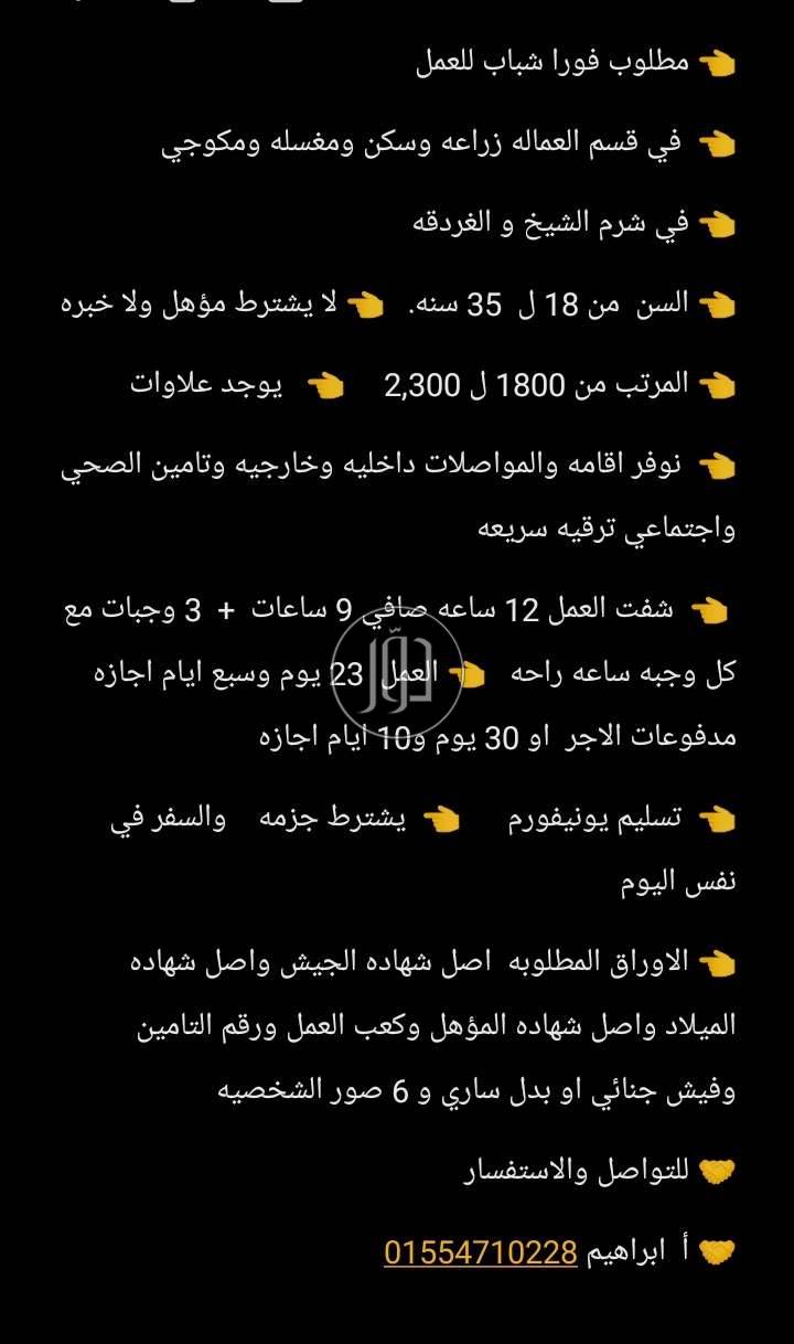 صور وظائف اخرى في الجيزة - دوّر.كوم