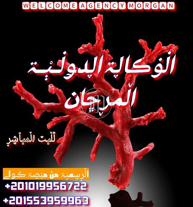 صور وظائف اخرى في القاهرة - دوّر.كوم