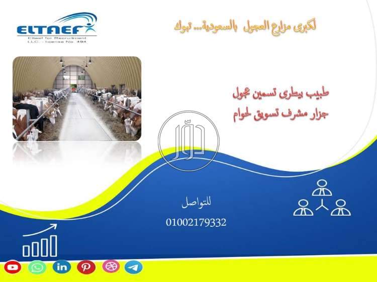 صور وظائف اطباء في مصر - دوّر.كوم