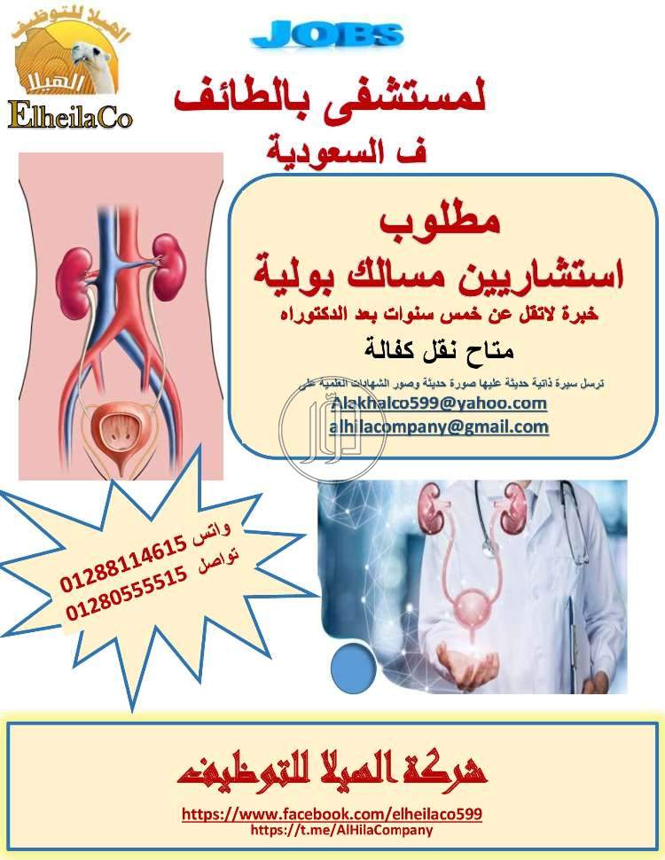 صور وظائف اطباء في الجيزة - دوّر.كوم