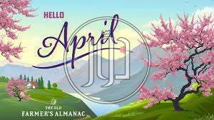 اعمال ادراية في مصر - دوّر.كوم