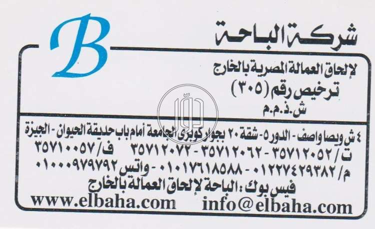 صور وظائف تسويق ومبيعات في الجيزة - دوّر.كوم