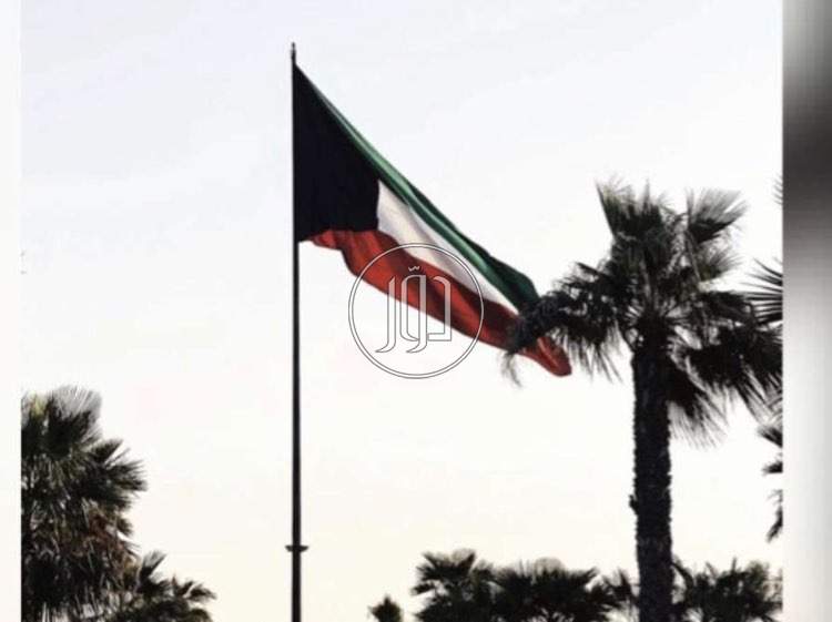 صور وظائف تسويق ومبيعات في مصر - دوّر.كوم