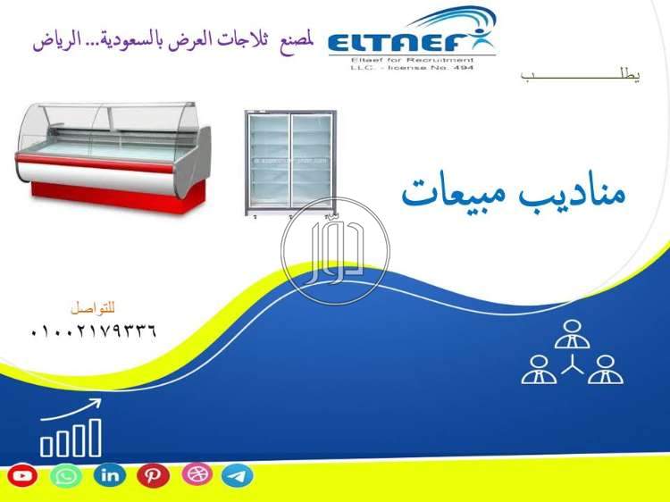 صور وظائف تسويق ومبيعات في مصر - دوّر.كوم