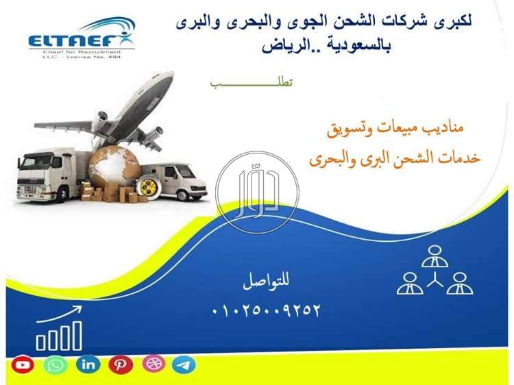 صور وظائف تسويق ومبيعات في مصر - دوّر.كوم