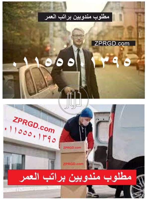 صور وظائف تسويق ومبيعات في الإسكندرية - دوّر.كوم