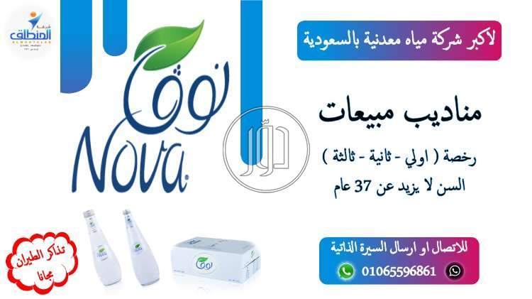 صور وظائف تسويق ومبيعات في مصر - دوّر.كوم