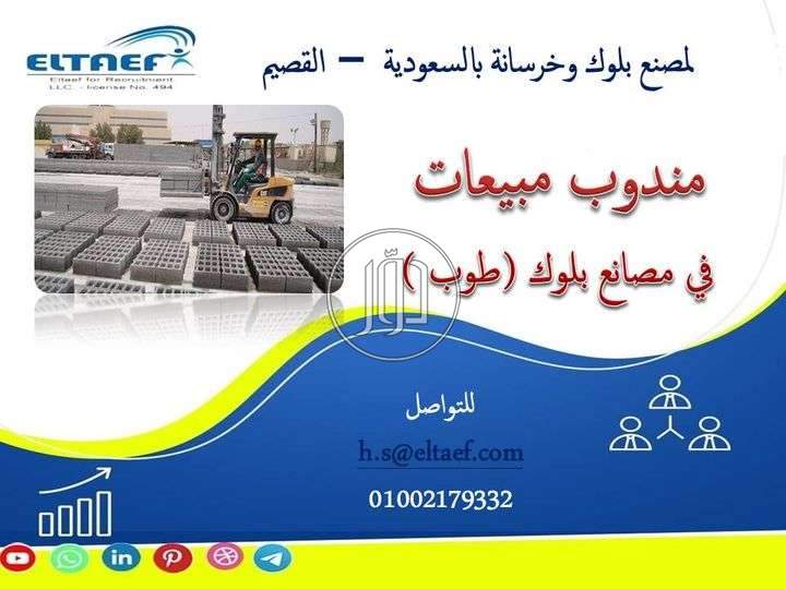 صور وظائف تسويق ومبيعات في مصر - دوّر.كوم