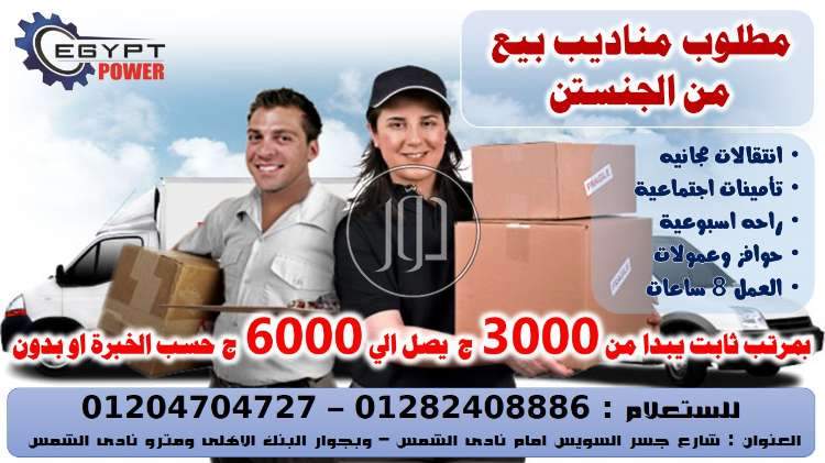 صور وظائف تسويق ومبيعات في القاهرة - دوّر.كوم