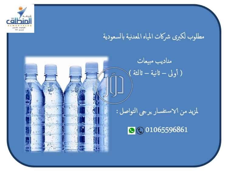 صور وظائف تسويق ومبيعات في مصر - دوّر.كوم