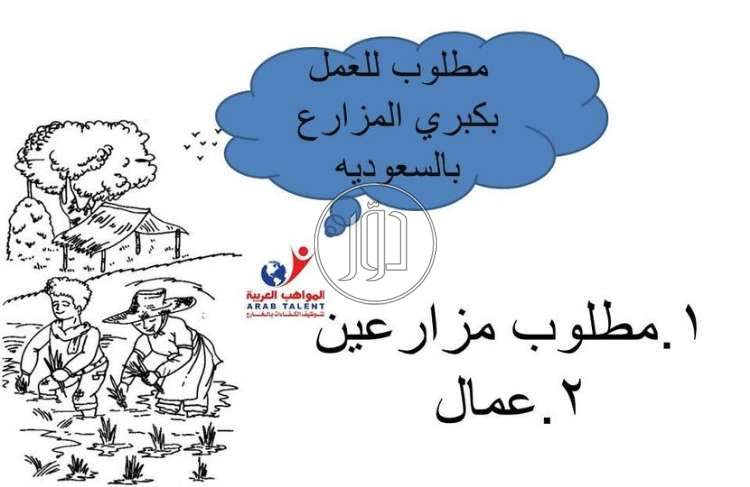 صور وظائف عمال وحرفيين في الجيزة - دوّر.كوم