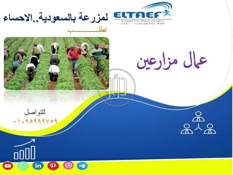 صور وظائف عمال وحرفيين في مصر - دوّر.كوم