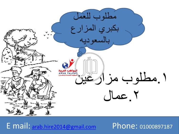 صور وظائف عمال وحرفيين في مصر - دوّر.كوم