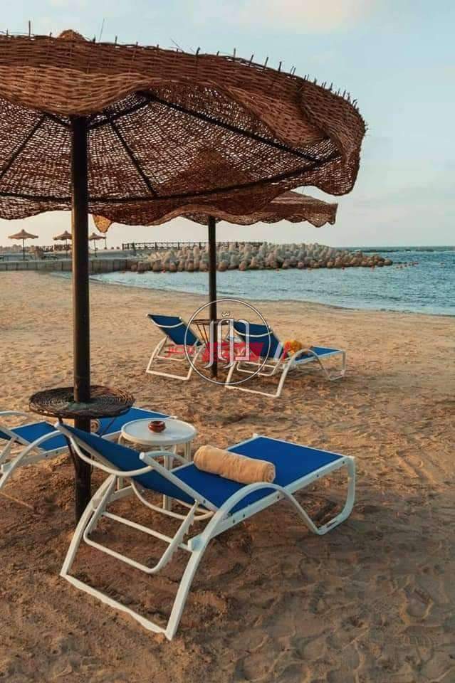 صور وظائف فنادق ومطاعم في مصر - دوّر.كوم