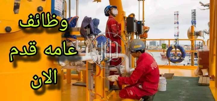 صور وظائف فنادق ومطاعم في مصر - دوّر.كوم