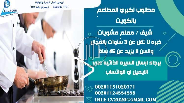 صور وظائف فنادق ومطاعم في مصر - دوّر.كوم