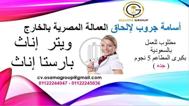 صور وظائف فنادق ومطاعم في الجيزة - دوّر.كوم