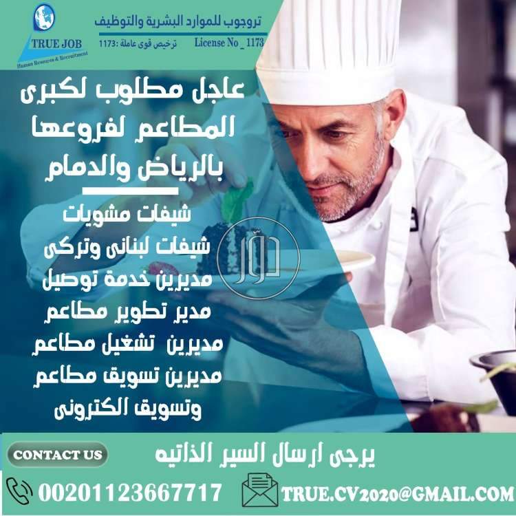 صور وظائف فنادق ومطاعم في مصر - دوّر.كوم