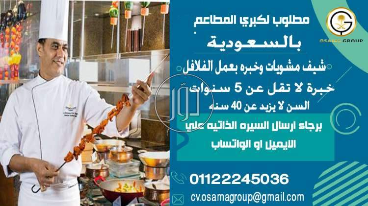 صور وظائف فنادق ومطاعم في الجيزة - دوّر.كوم