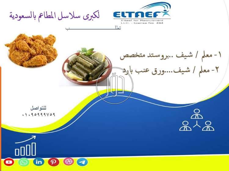 صور وظائف فنادق ومطاعم في مصر - دوّر.كوم