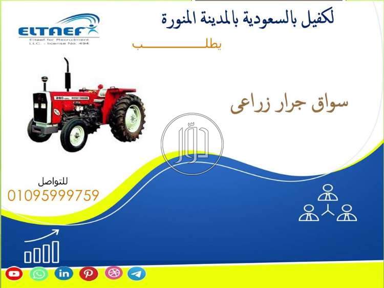 صور وظائف فنيين في الجيزة - دوّر.كوم