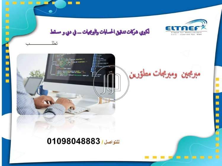 صور وظائف مبرمجين ومصممين في مصر - دوّر.كوم