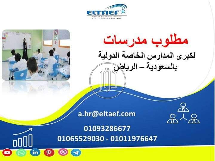 صور وظائف محاسبين في مصر - دوّر.كوم